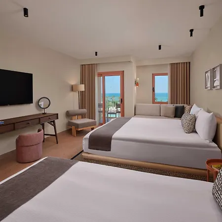 Paloma Grida بيليك