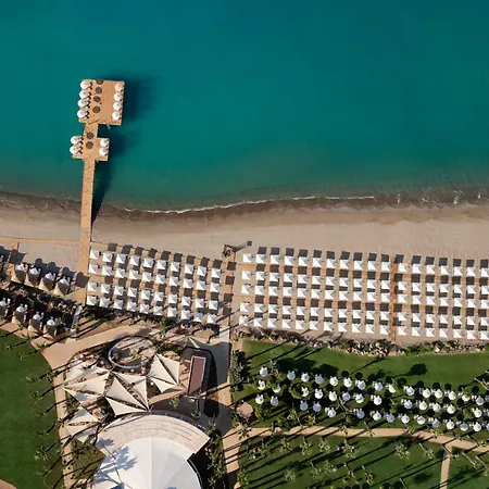 Paloma Grida 贝莱克